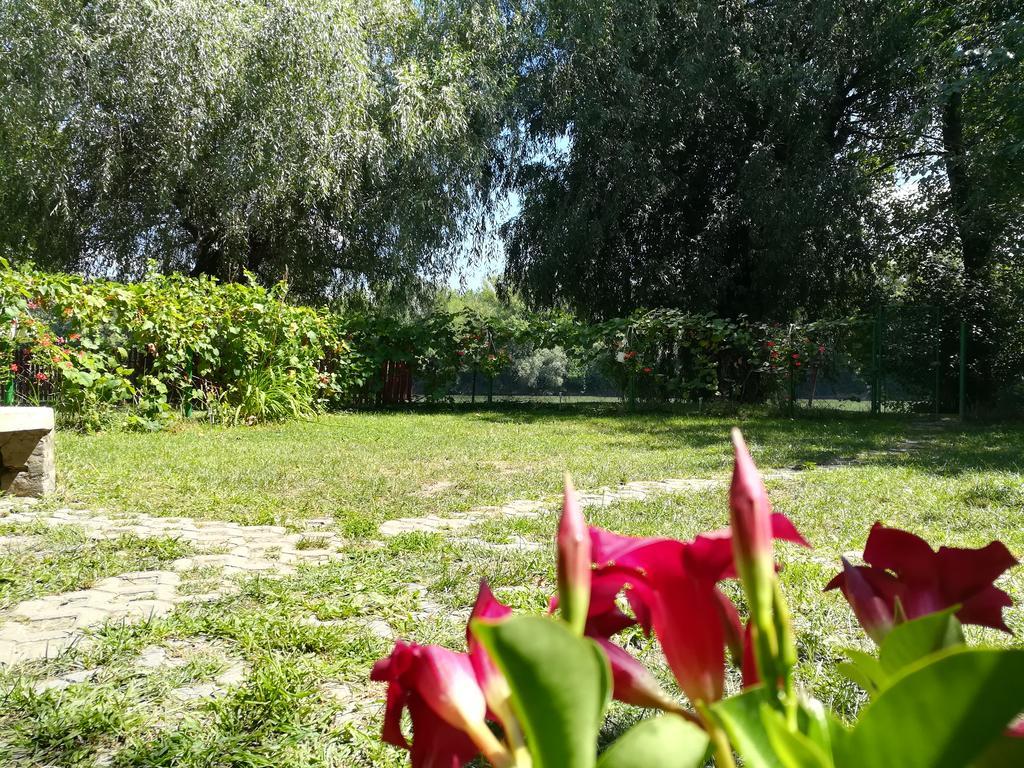 Tiszavirág Vendégház Szeged Exterior foto